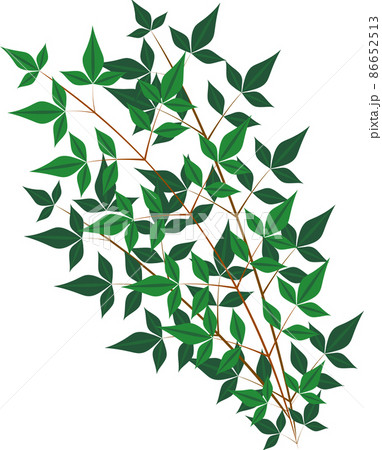 涼しげなイラストの写真素材