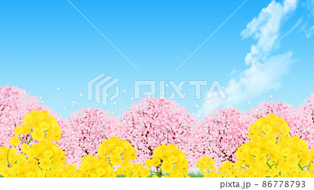 菜の花畑のイラスト素材