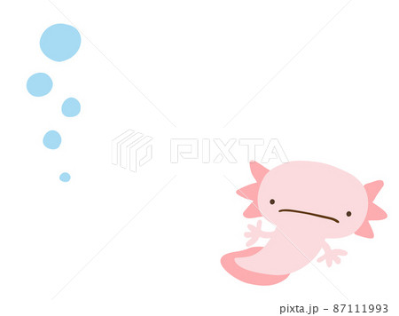 ウーパールーパーのイラスト素材集 ピクスタ