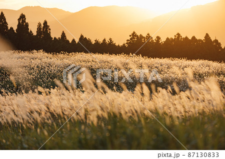 夕方 風景 夕暮れ 10月の写真素材 - PIXTA