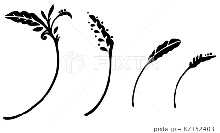 モノクロ つる 蔓 白黒のイラスト素材 モノクロ つる 蔓 白黒のイラスト素材