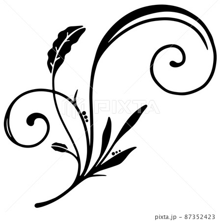 モノクロ つる 蔓 白黒のイラスト素材 モノクロ つる 蔓 白黒のイラスト素材