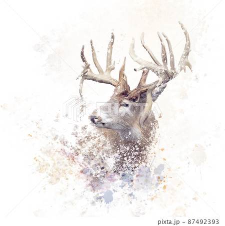 watercolor deer tumblr