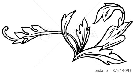 白黒模様のイラスト素材