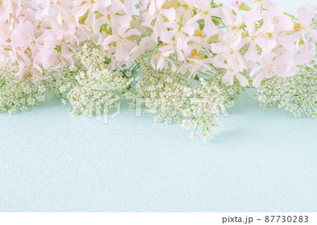 ホワイトレースフラワー 花束の写真素材