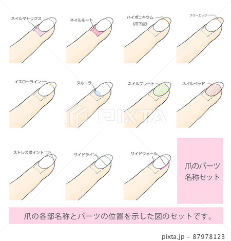 ネイル 手のイラスト素材 ネイル 手のイラスト素材