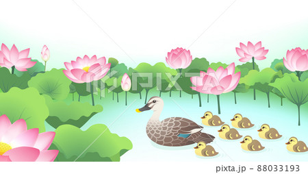 カルガモ親子のイラスト素材
