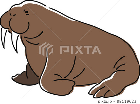 セイウチ イラスト 動物 かわいいのイラスト素材