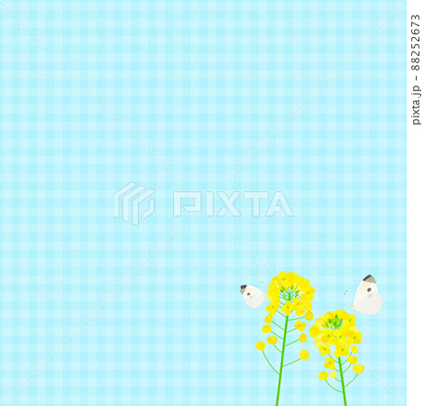 ギンガムチェックのイラスト素材