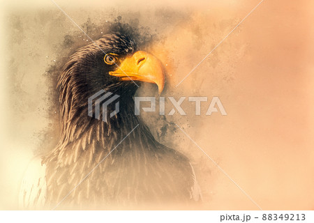 鷹 猛禽類 鳥 男性のイラスト素材