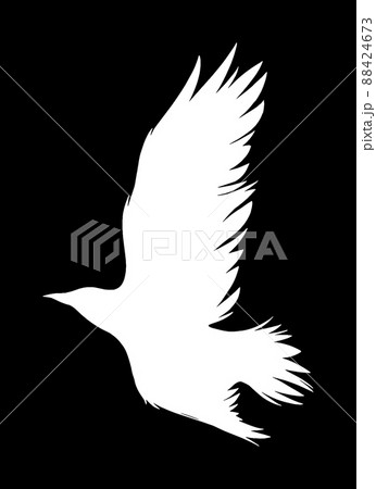 カラス シルエットのイラスト素材
