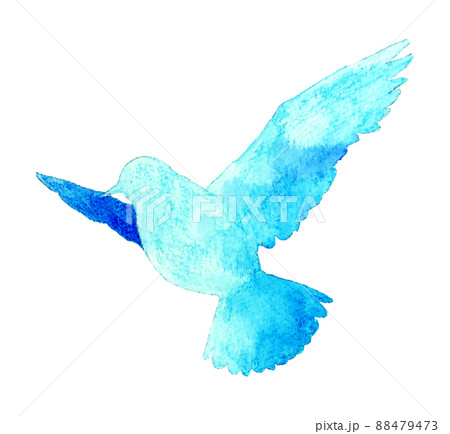 鳥 水彩 羽ばたく 青い鳥のイラスト素材