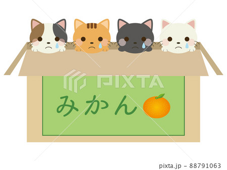 茶トラのイラスト素材