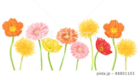 ガーベラ 花 イラスト かわいいのイラスト素材