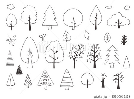 モノクロ 木 枝 シンプルの写真素材