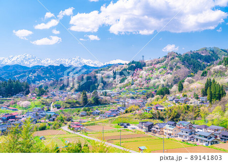 【額装写真】淡色の新緑と山桜        