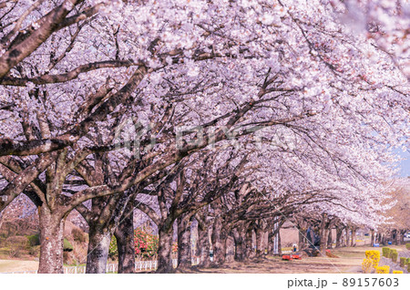 川のある風景の写真素材 - PIXTA
