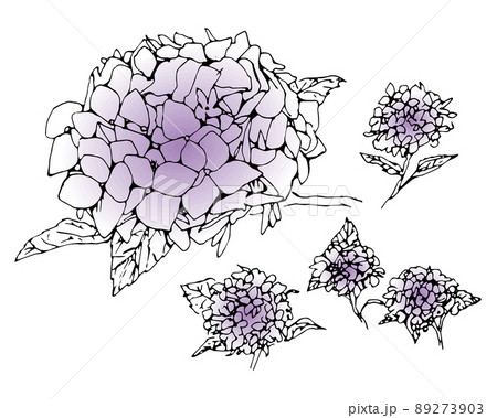 花言葉感謝のイラスト素材