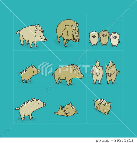 猪 かわいいのイラスト素材