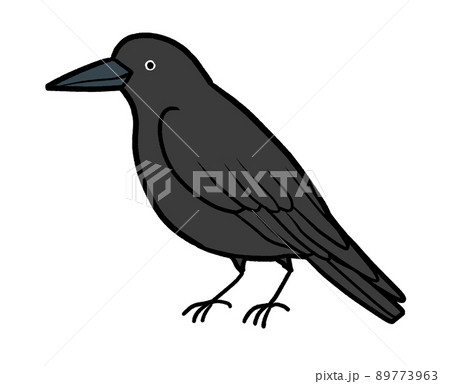 カラスのイラスト素材集 ピクスタ