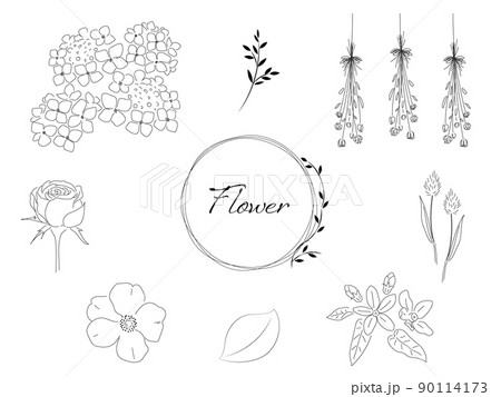 ドライフラワー 薔薇 花 イラストのイラスト素材