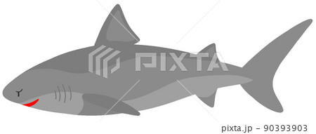 サメ 鮫 のイラスト素材集 ピクスタ
