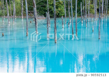 北海道 壁紙 美瑛 青い池の写真素材 北海道 壁紙 美瑛 青い池の写真素材