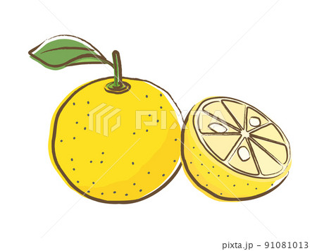 果物 みかん 絵手紙風 イラストのイラスト素材