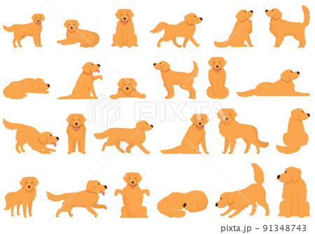 犬 ゴールデンレトリバー シルエット レトリバーのイラスト素材 - PIXTA