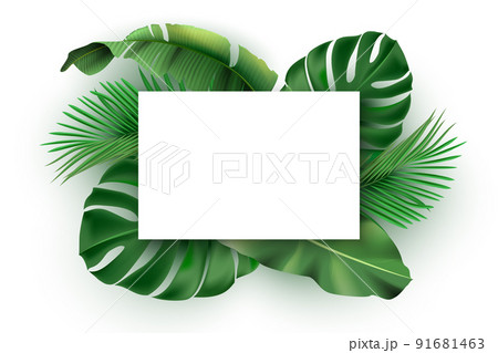 バナナの木のイラスト素材