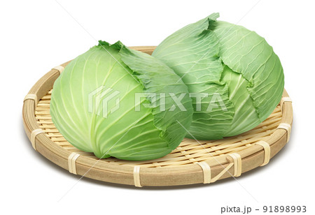 キャベツのイラスト素材集 ピクスタ