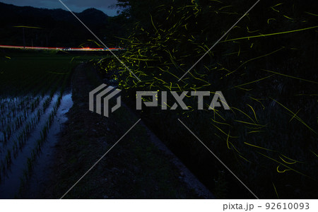 4ページ目 | 蛍の写真素材 - PIXTA