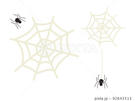 クモ 蜘蛛 のイラスト素材集 ピクスタ