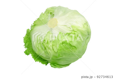 レタスのイラスト素材 1ページ目
