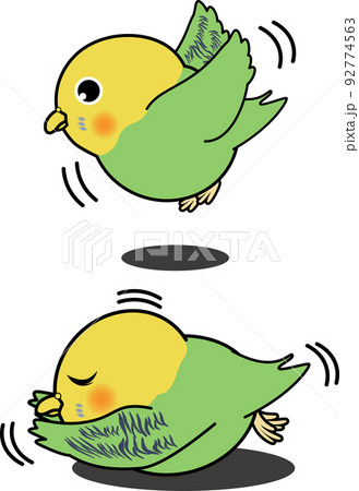 インコ オウムのイラスト素材集 ピクスタ