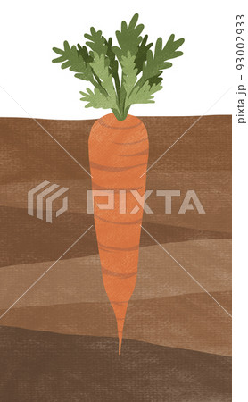 人参畑のイラスト素材