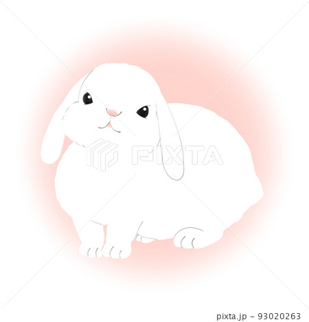 うさぎ ロップイヤー イラスト 動物 かわいいのイラスト素材