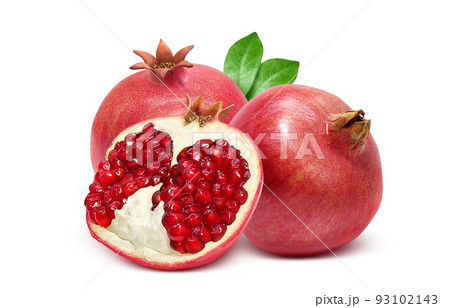 柘榴のイラスト素材
