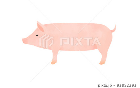 動物 豚 全身 可愛いのイラスト素材