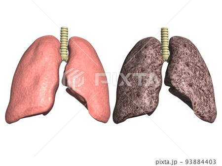 喫煙をやめる方法