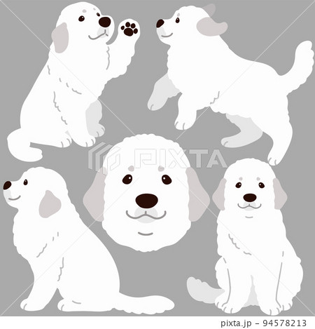 イラスト 動物 犬 走るの写真素材