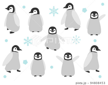 ペンギンの赤ちゃんのイラスト素材