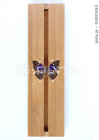 展翅板の写真素材 - PIXTA