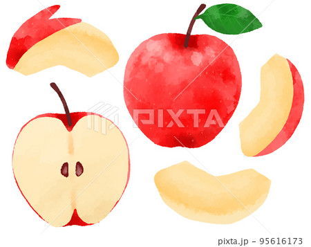 林檎 ウサギ フルーツ カットのイラスト素材 - PIXTA