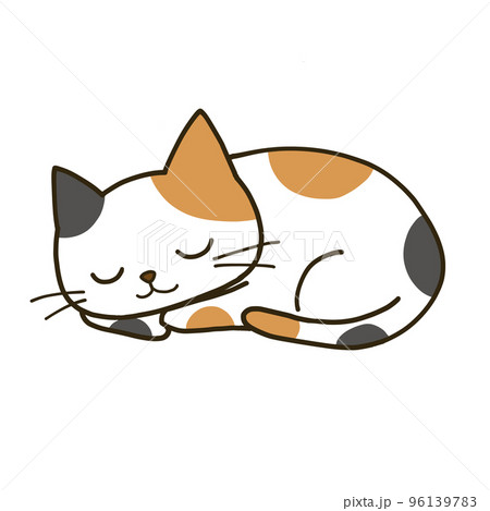 ブチ猫 61UncAKwQ+S._UF350,350_QL50_.jpg