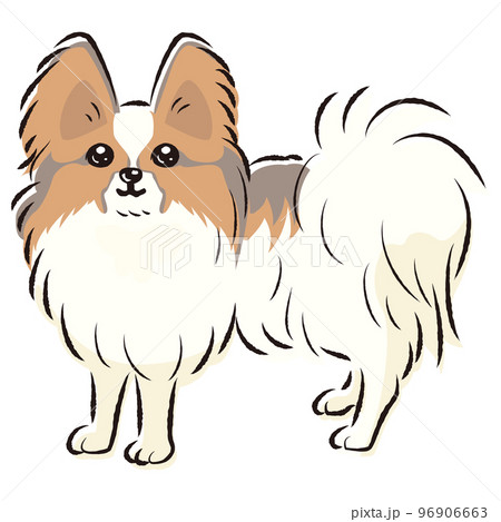 21,332 Papillon Images, Stock Photos, 3D objects, & Vectors