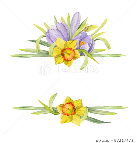 クロッカス フレーム 枠 水彩画のイラスト素材 - PIXTA