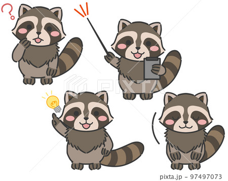 Racoon Illustrations - Pixta