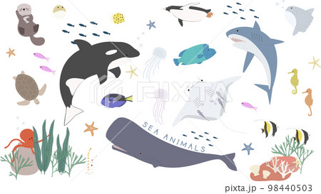 魚絵