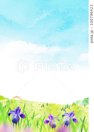 あやめ 菖蒲 花 水彩画のイラスト素材 - PIXTA